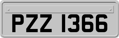 PZZ1366