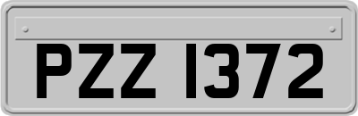 PZZ1372