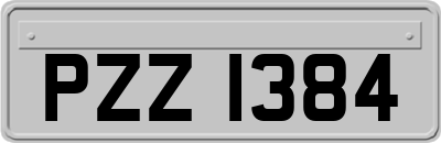 PZZ1384