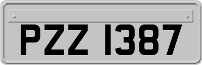 PZZ1387