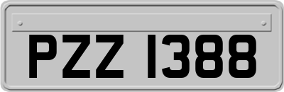 PZZ1388