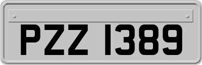 PZZ1389