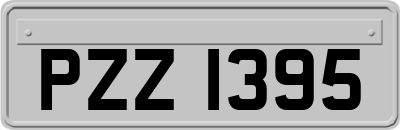 PZZ1395