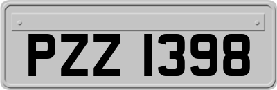 PZZ1398