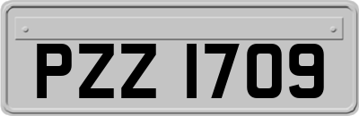 PZZ1709