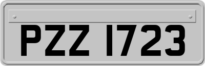 PZZ1723