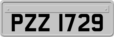 PZZ1729