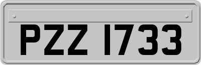 PZZ1733