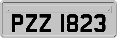 PZZ1823