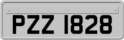 PZZ1828