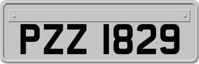 PZZ1829