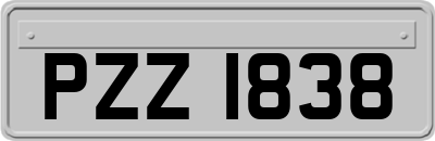 PZZ1838