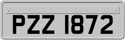 PZZ1872