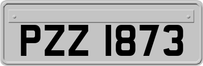 PZZ1873