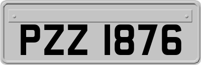 PZZ1876