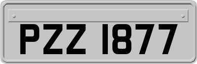 PZZ1877