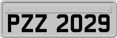 PZZ2029