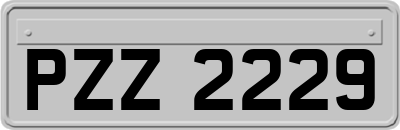PZZ2229