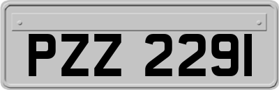 PZZ2291