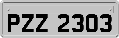 PZZ2303