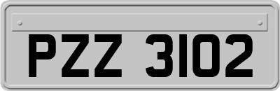 PZZ3102