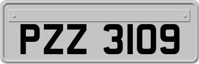 PZZ3109