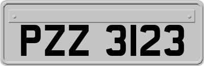 PZZ3123