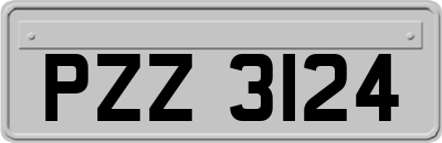 PZZ3124