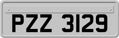 PZZ3129