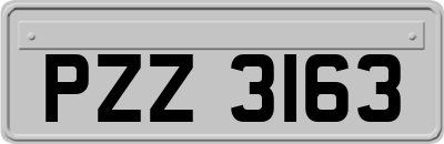 PZZ3163