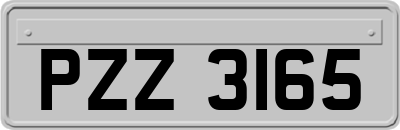 PZZ3165