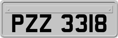 PZZ3318