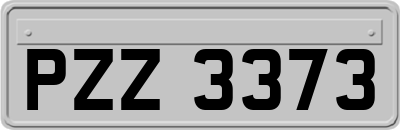 PZZ3373