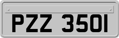 PZZ3501