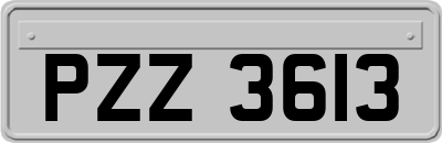 PZZ3613