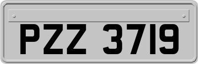 PZZ3719