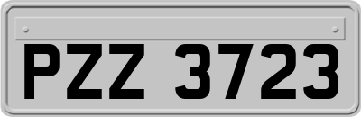PZZ3723