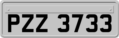 PZZ3733