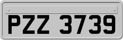 PZZ3739