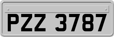 PZZ3787