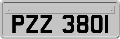 PZZ3801