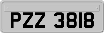 PZZ3818