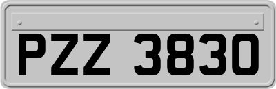 PZZ3830