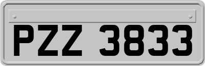 PZZ3833