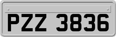 PZZ3836