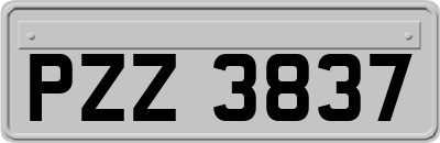 PZZ3837