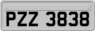 PZZ3838