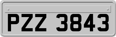 PZZ3843