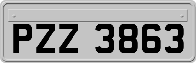 PZZ3863