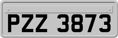PZZ3873